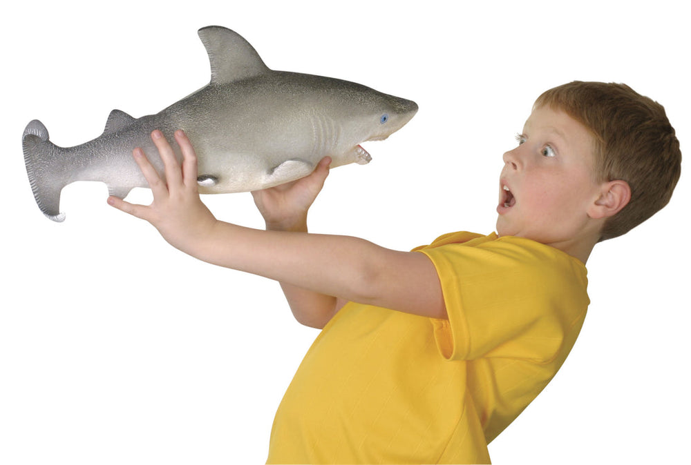 Grow shark toy online