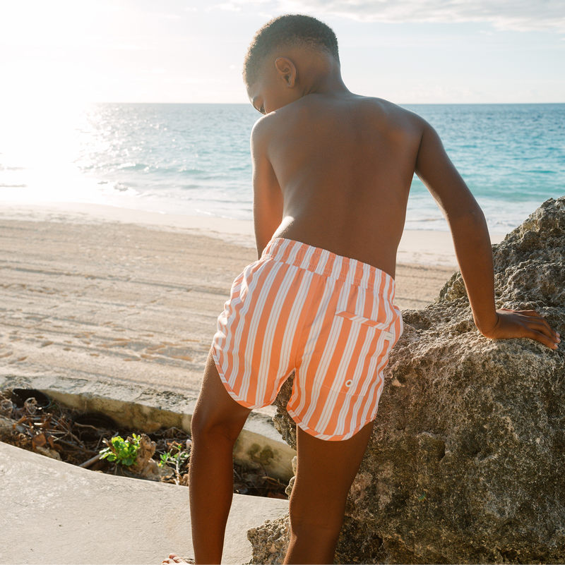 Minnow Swizzle Stripe Boardie Swim Trunks