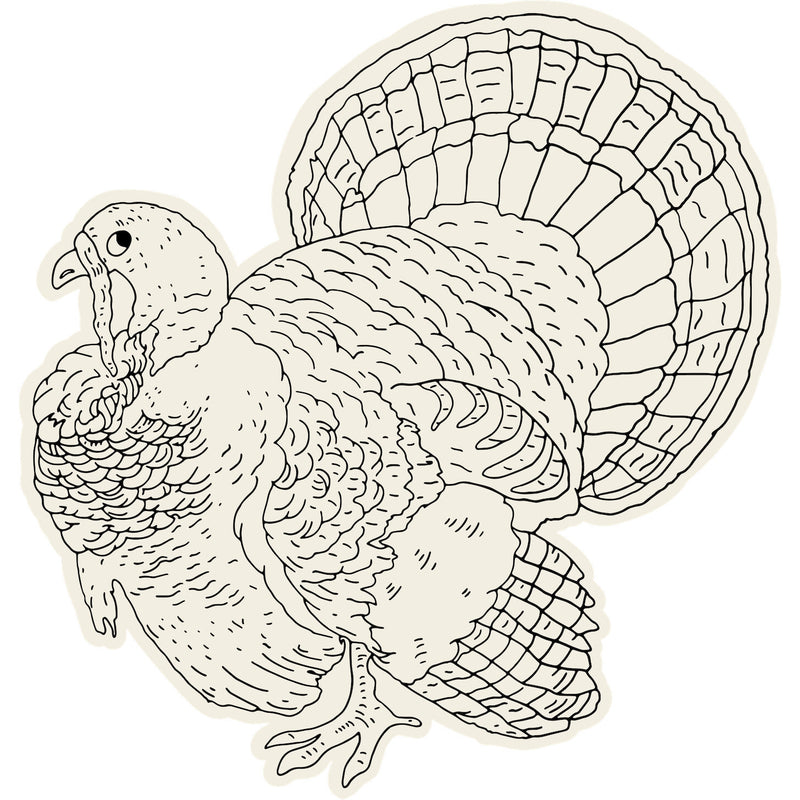 Turkey Coloring Paper Placemats Hester Cook